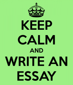 Argumentative essay, cause effect essay, persuasive essay gibi essay orneklerini yazmanın 5 yolu!