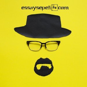 essay sepeti gizlilik politikası