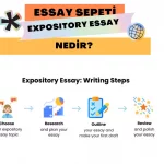 expository-essay-nedir
